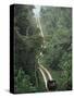 Driving in the Rain Forest, Lubaantun, Toledo District, Belize, Central America-Upperhall-Stretched Canvas