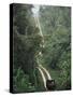 Driving in the Rain Forest, Lubaantun, Toledo District, Belize, Central America-Upperhall-Stretched Canvas