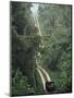 Driving in the Rain Forest, Lubaantun, Toledo District, Belize, Central America-Upperhall-Mounted Premium Photographic Print