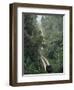 Driving in the Rain Forest, Lubaantun, Toledo District, Belize, Central America-Upperhall-Framed Photographic Print