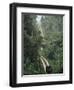 Driving in the Rain Forest, Lubaantun, Toledo District, Belize, Central America-Upperhall-Framed Photographic Print