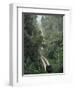 Driving in the Rain Forest, Lubaantun, Toledo District, Belize, Central America-Upperhall-Framed Photographic Print