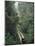 Driving in the Rain Forest, Lubaantun, Toledo District, Belize, Central America-Upperhall-Mounted Photographic Print