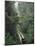 Driving in the Rain Forest, Lubaantun, Toledo District, Belize, Central America-Upperhall-Mounted Photographic Print