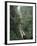 Driving in the Rain Forest, Lubaantun, Toledo District, Belize, Central America-Upperhall-Framed Photographic Print