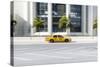 Driving Taxi, Miami Airport, Miami, Florida, Usa-Axel Schmies-Stretched Canvas