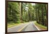 Driving Through Forest, Fall, Mt. Rainier National Park, Wa, USA-Stuart Westmorland-Framed Photographic Print