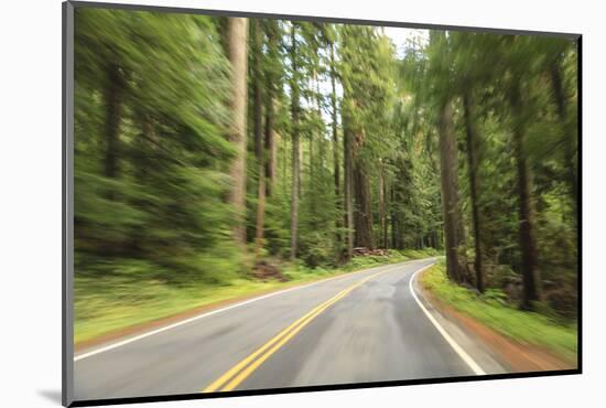 Driving Through Forest, Fall, Mt. Rainier National Park, Wa, USA-Stuart Westmorland-Mounted Photographic Print