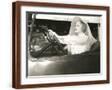 Brown Frame