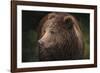 Drizzly Bear-Staffan Widstrand-Framed Giclee Print