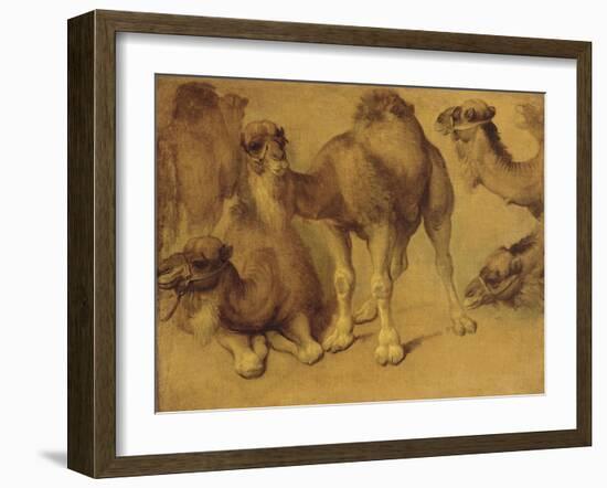 Dromadaires-Pieter Boel-Framed Giclee Print