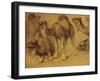 Dromadaires-Pieter Boel-Framed Giclee Print