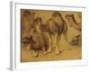 Dromadaires-Pieter Boel-Framed Giclee Print