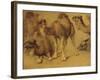 Dromadaires-Pieter Boel-Framed Giclee Print