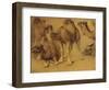 Dromadaires-Pieter Boel-Framed Giclee Print