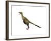 Dromaeosaurus Dinosaur-null-Framed Art Print