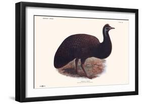 Dromaius Peroni-Lionel Walter Rothschild-Framed Art Print