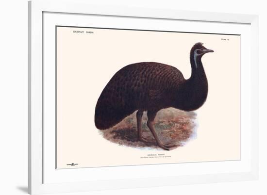 Dromaius Peroni-Lionel Walter Rothschild-Framed Premium Giclee Print