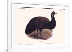 Dromaius Peroni-Lionel Walter Rothschild-Framed Premium Giclee Print