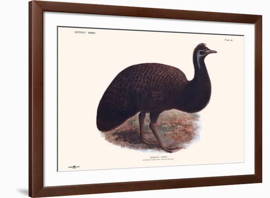 Dromaius Peroni-Lionel Walter Rothschild-Framed Premium Giclee Print