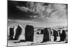 Drombeg Stone Circle, County Cork, Ireland-Simon Marsden-Mounted Giclee Print