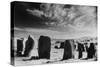 Drombeg Stone Circle, County Cork, Ireland-Simon Marsden-Stretched Canvas