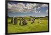 Drombeg stone circle, near Clonakilty, County Cork, Munster, Republic of Ireland, Europe-Nigel Hicks-Framed Photographic Print