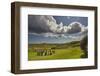 Drombeg stone circle, near Clonakilty, County Cork, Munster, Republic of Ireland, Europe-Nigel Hicks-Framed Photographic Print