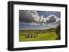 Drombeg stone circle, near Clonakilty, County Cork, Munster, Republic of Ireland, Europe-Nigel Hicks-Framed Photographic Print