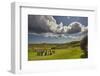 Drombeg stone circle, near Clonakilty, County Cork, Munster, Republic of Ireland, Europe-Nigel Hicks-Framed Photographic Print