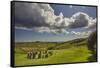 Drombeg stone circle, near Clonakilty, County Cork, Munster, Republic of Ireland, Europe-Nigel Hicks-Framed Stretched Canvas