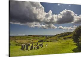 Drombeg stone circle, near Clonakilty, County Cork, Munster, Republic of Ireland, Europe-Nigel Hicks-Stretched Canvas