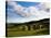 Drombeg Stone Circle, Near Glandore, County Cork, Ireland-null-Stretched Canvas