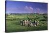 Drombeg Stone Circle-David Nunuk-Stretched Canvas