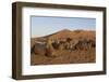 Dromedaries, Dunes of Merzouga, Morocco-Natalie Tepper-Framed Photo