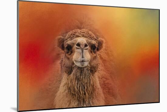 Dromedary Camel-Jai Johnson-Mounted Giclee Print