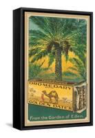 Dromedary Golden Dates-null-Framed Stretched Canvas