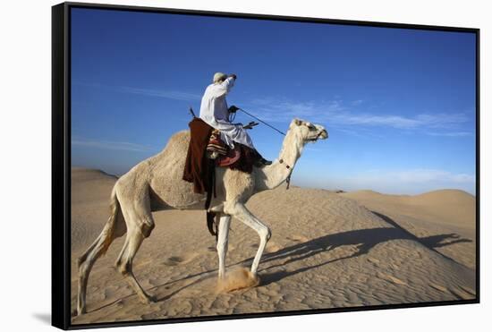 Dromedary rider in the Sahara, Douz, Kebili, Tunisia-Godong-Framed Stretched Canvas