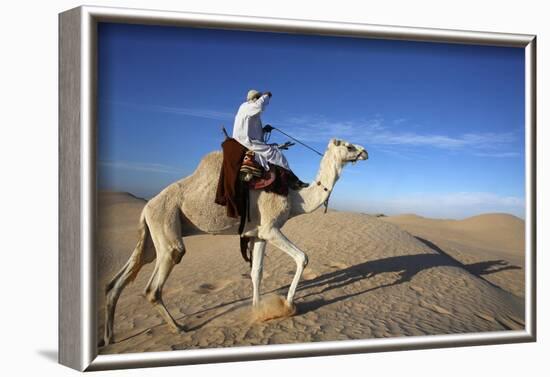 Dromedary rider in the Sahara, Douz, Kebili, Tunisia-Godong-Framed Photographic Print