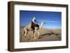 Dromedary rider in the Sahara, Douz, Kebili, Tunisia-Godong-Framed Photographic Print