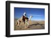 Dromedary rider in the Sahara, Douz, Kebili, Tunisia-Godong-Framed Photographic Print