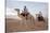 Dromedary riders in the Sahara, Douz, Kebili, Tunisia-Godong-Stretched Canvas