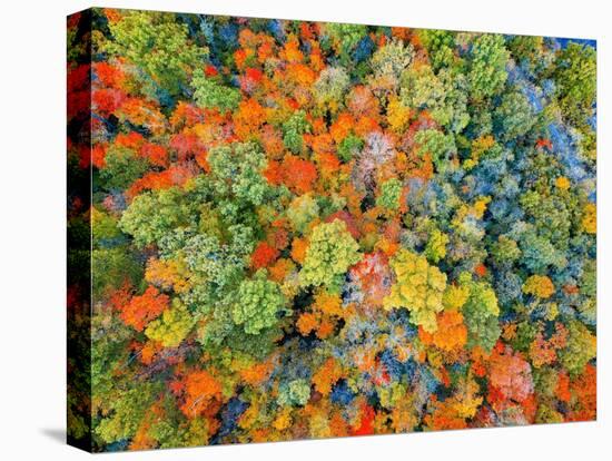 Drone Aerial Panorama's in Autumn Fall-Steve Ellis-Stretched Canvas