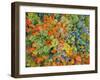 Drone Aerial Panorama's in Autumn Fall-Steve Ellis-Framed Photographic Print