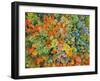 Drone Aerial Panorama's in Autumn Fall-Steve Ellis-Framed Photographic Print