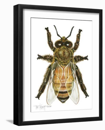 Drone Honey Bee-Tim Knepp-Framed Giclee Print