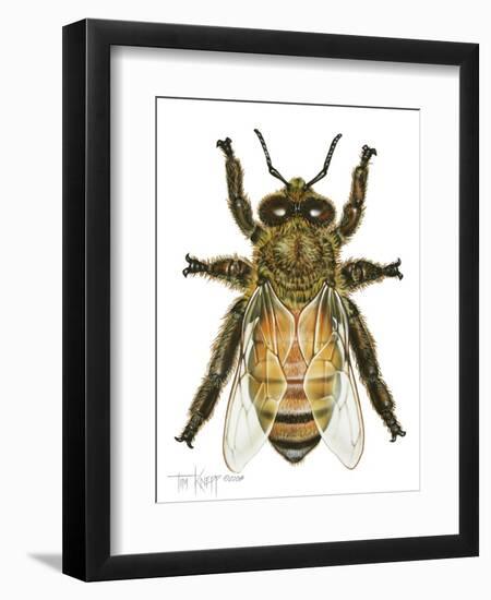 Drone Honey Bee-Tim Knepp-Framed Premium Giclee Print