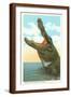 Brown Frame