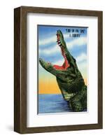 Drop in Any Time in Florida-null-Framed Art Print