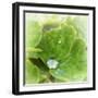 Drop of Rain-Viviane Fedieu Daniel-Framed Photographic Print